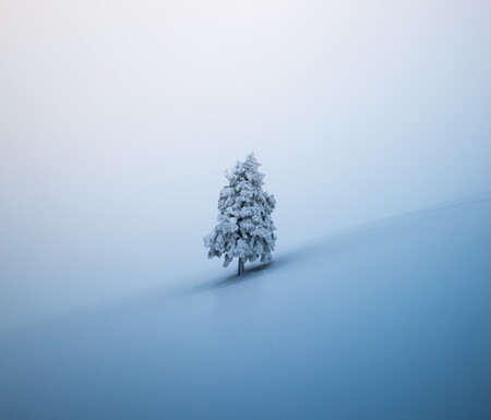 Weihnachten und Einsamkeit Ein Tannenbaum in einer Schneelandschaft