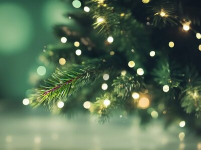 Ein Tannenbaum mit Lichtern